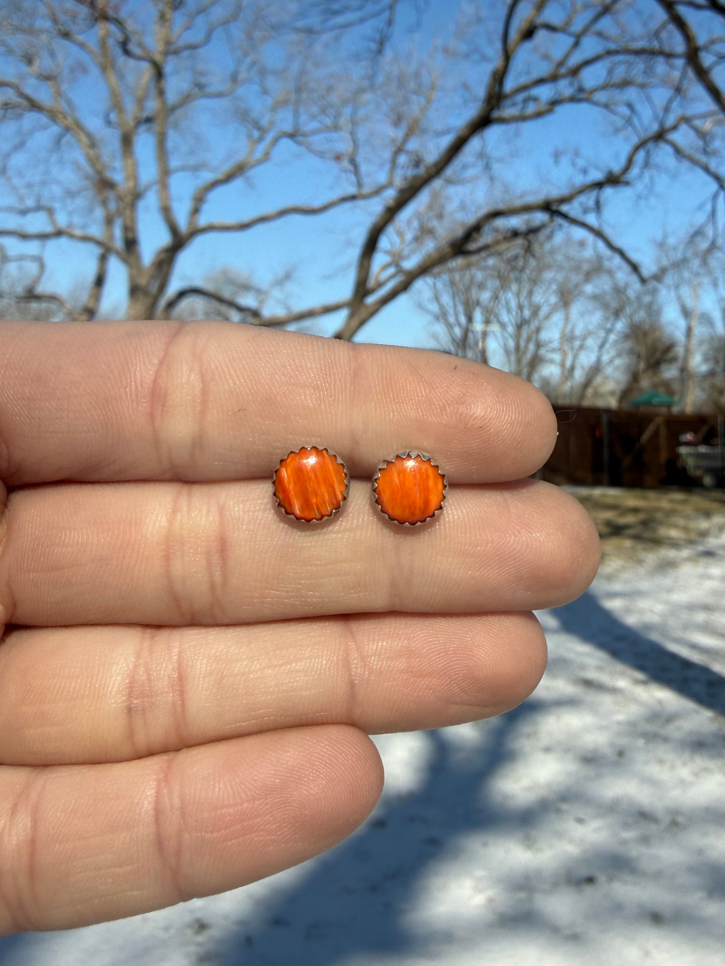 Round Orange Spiny Oyster Simple Stud Earrings