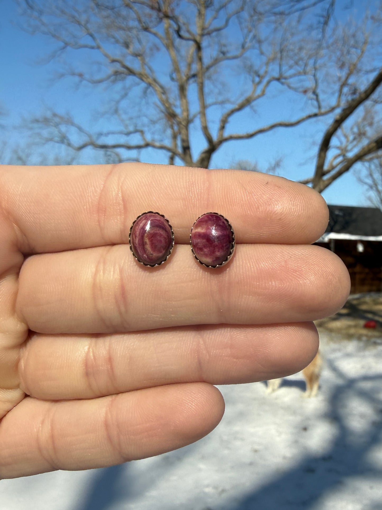 Oval Purple Spiny Oyster Handmade Stud Earrings