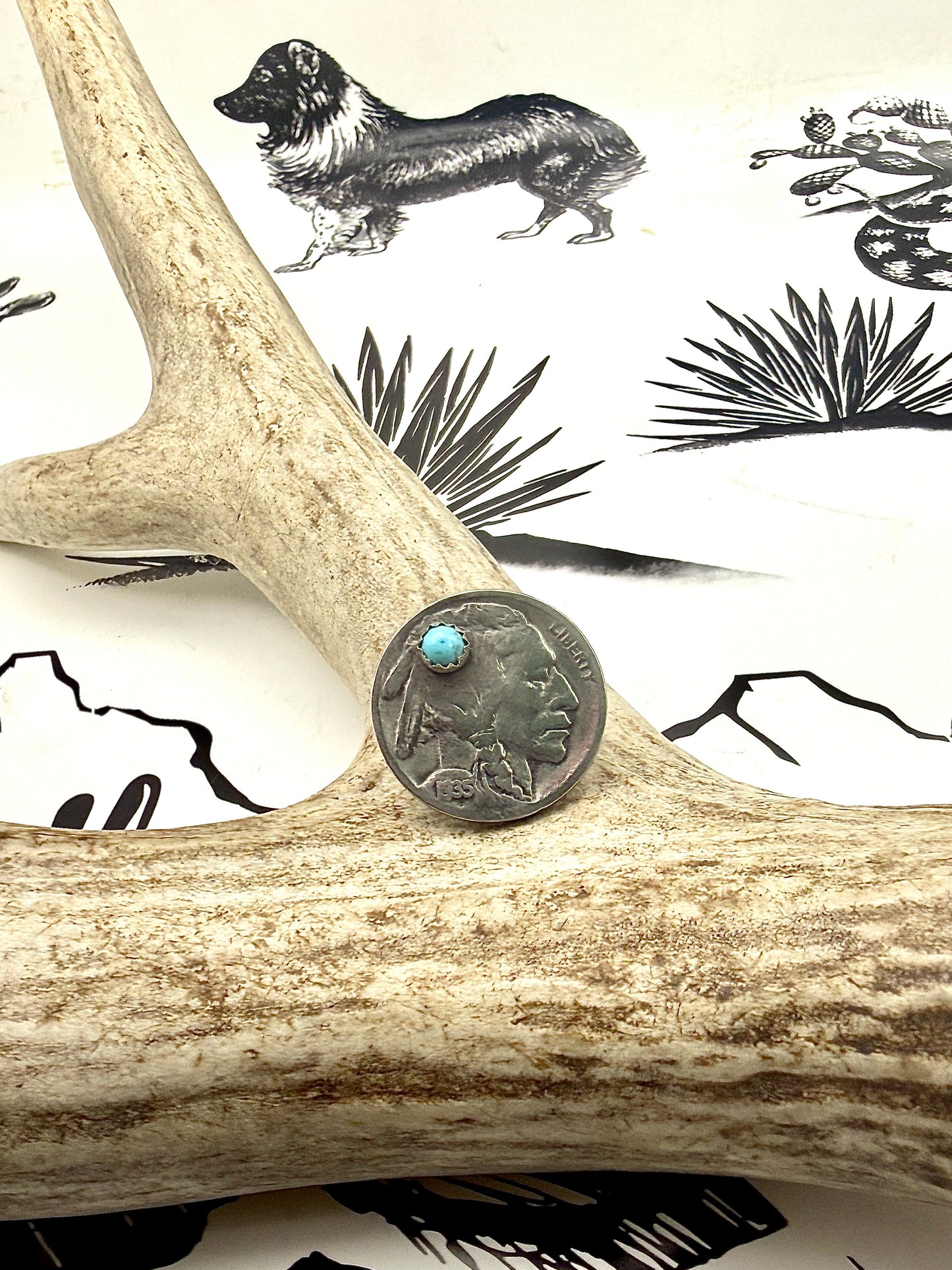 Handmade Buffalo Nickel (Indian head side) Pin with Kingman Turquoise