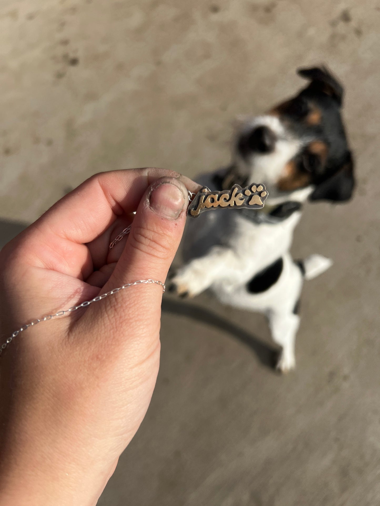 Cactus Rose Studios Paw Print Name pendant