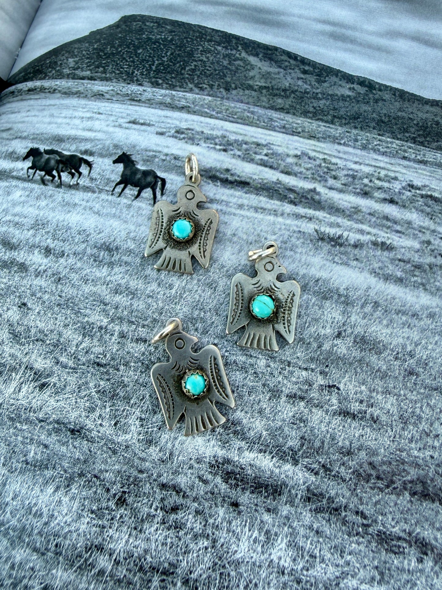 Thunderbird Charm